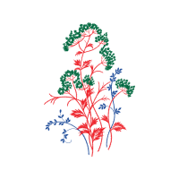 Illustration Hobbies