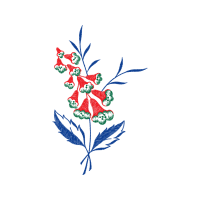 Illustration Hobbies