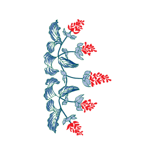 Illustration Hobbies Illustration Hobbies