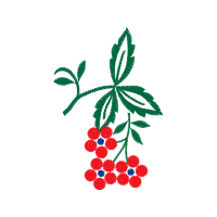 Illustration Hobbies