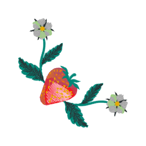 Illustration Hobbies Illustration Hobbies