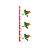 Illustration Hobbies