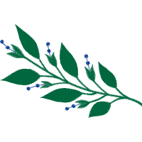 Illustration Hobbies