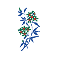 Illustration Hobbies