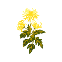 Illustration Hobbies