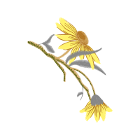 Illustration Hobbies