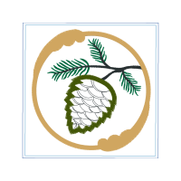 Loblolly Pine Hobbies Loblolly Pine Hobbies