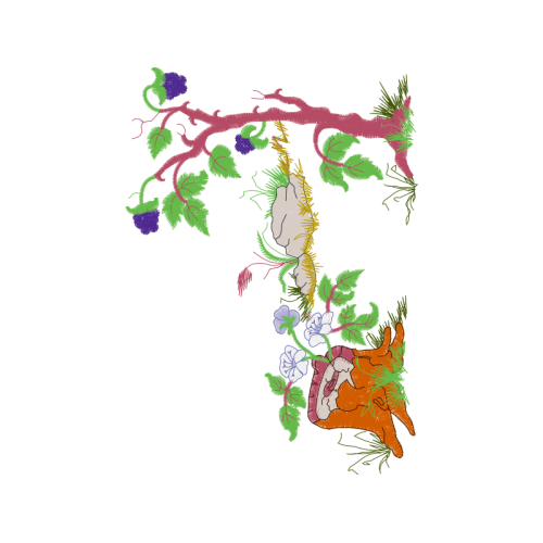 Map Hobbies Map Hobbies