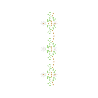 Meter Hobbies Meter Hobbies