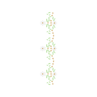 Meter Hobbies Meter Hobbies