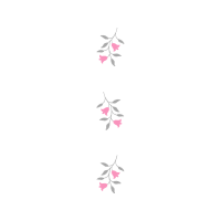 Meter Hobbies Meter Hobbies