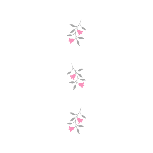 Meter Hobbies Meter Hobbies