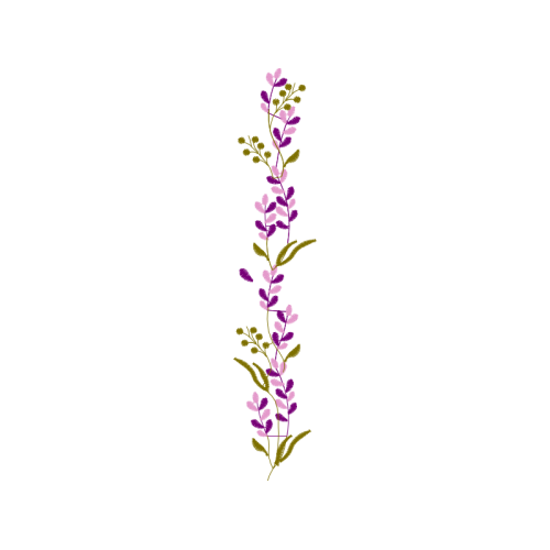 Meter Hobbies Meter Hobbies