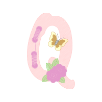 Moth Orchids Hobbies Moth Orchids Hobbies