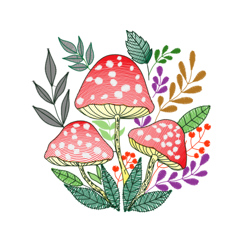 Mushroom Hobbies Mushroom Hobbies