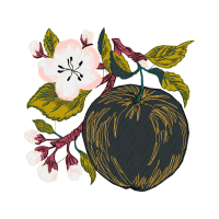 Needlework Hobbies Needlework Hobbies