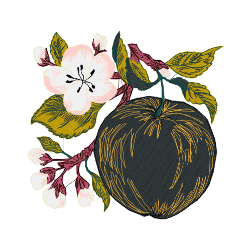 Needlework Hobbies Needlework Hobbies