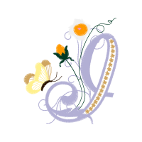 Oxeye Daisy Hobbies Oxeye Daisy Hobbies