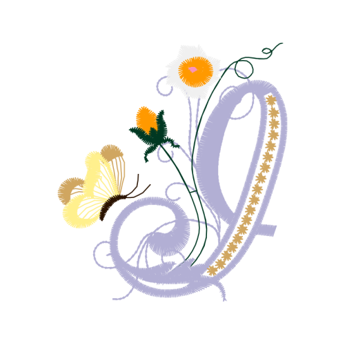 Oxeye Daisy Hobbies Oxeye Daisy Hobbies