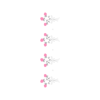 Pedicel Hobbies Pedicel Hobbies