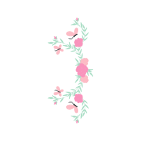 Pieridae Hobbies Pieridae Hobbies