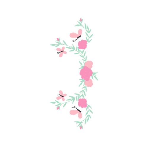 Pieridae Hobbies Pieridae Hobbies