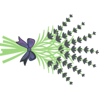 Portable Network Graphics Hobbies