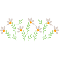 Pot Marigold Hobbies