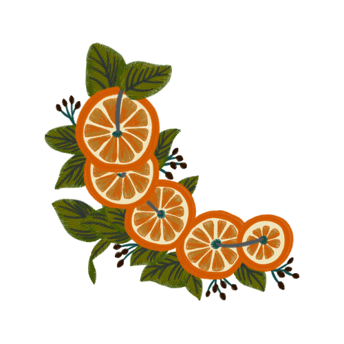 Seedless Fruit Hobbies Seedless Fruit Hobbies