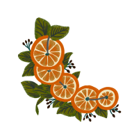 Seedless Fruit Hobbies Seedless Fruit Hobbies