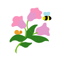 Silver Slipper Orchid Hobbies Silver Slipper Orchid Hobbies