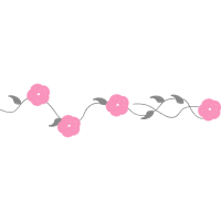 Spider Flower Hobbies Spider Flower Hobbies