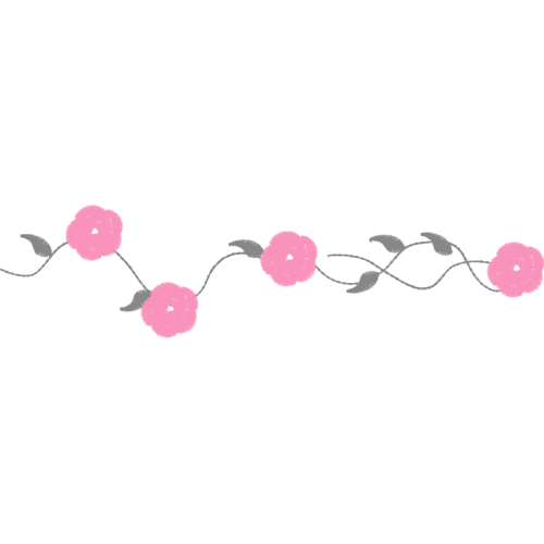 Spider Flower Hobbies Spider Flower Hobbies