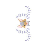 Squirrel Hobbies Squirrel Hobbies