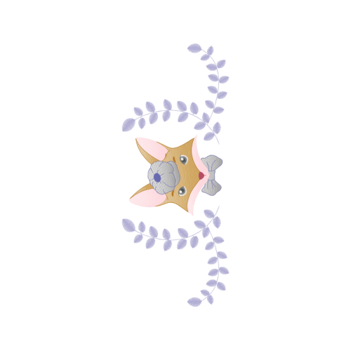 Squirrel Hobbies Squirrel Hobbies