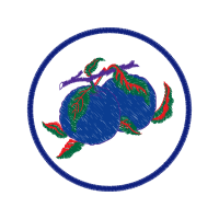 Strawberry Hobbies Strawberry Hobbies