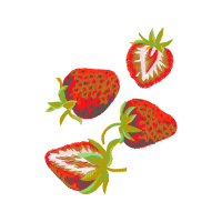 Strawberry Hobbies Strawberry Hobbies