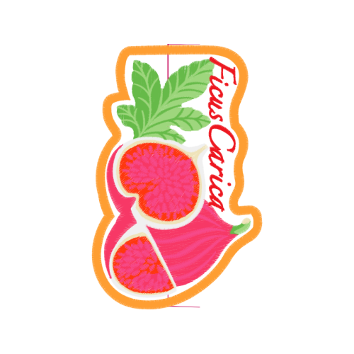 Strawberry Hobbies Strawberry Hobbies