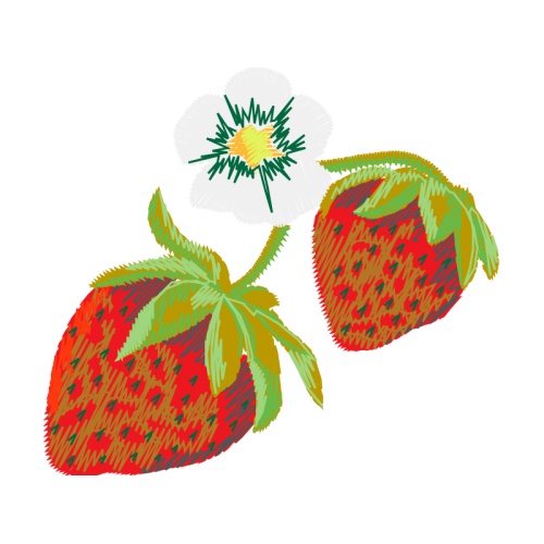 Strawberry Hobbies Strawberry Hobbies