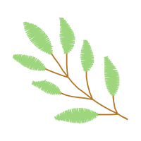 Sweet Birch Hobbies Sweet Birch Hobbies