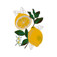 Sweet Lemon Hobbies Sweet Lemon Hobbies