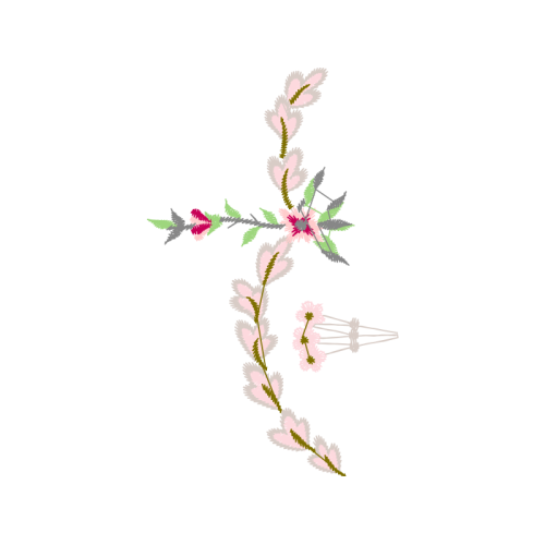 White Heath Aster Hobbies White Heath Aster Hobbies