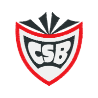 Alfenense Futebol Clube Hobbies Alfenense Futebol Clube Hobbies