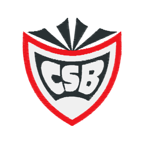 Alfenense Futebol Clube Hobbies Alfenense Futebol Clube Hobbies