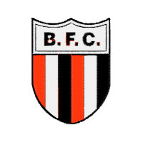 Botafogo Futebol Clube Hobbies