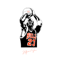 Chicago Bulls Hobbies