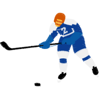 College Ice Hockey Hobbies