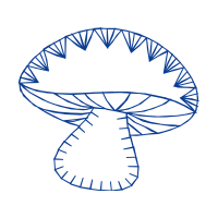 Microbe Notes Microbiology And Biology Notes Hobbies Microbe Notes Microbiology And Biology Notes Hobbies