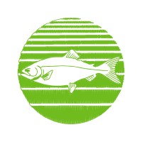 Rail Transport Hobbies Rail Transport Hobbies