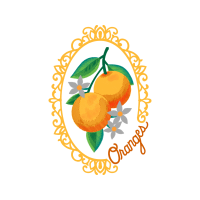 Sociedade Esportiva Palmeiras Hobbies Sociedade Esportiva Palmeiras Hobbies